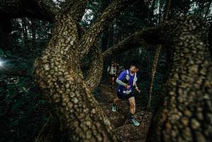 BIB: 
                            <button type="button" onclick="openModal(25699169)" class="btn btn-primary btn-sm float-right btn-popup" data-toggle="modal" data-target=".modal-high-quality">
                        <i class="fas fa-shopping-cart"></i> Add to Cart
                    </button>
                                            <button type="button" onclick="isThisMe(25699169, true)" class="btn btn-success btn-sm float-right btn-popup btn-isme hidden" data-toggle="tooltip" data-placement="bottom" title="นี่คือรูปของคุณใช่ไหม คลิกที่นี่เพื่อเอาเข้าอัลบั้ม">
                        <i class="fas fa-plus"></i> Add to album
                    </button>
                    <button type="button" onclick="isThisMe(25699169, false)" class="btn btn-warning btn-sm float-right btn-popup btn-isnotme hidden">
                        <i class="fas fa-ban"></i> Remove from album
                    </button>